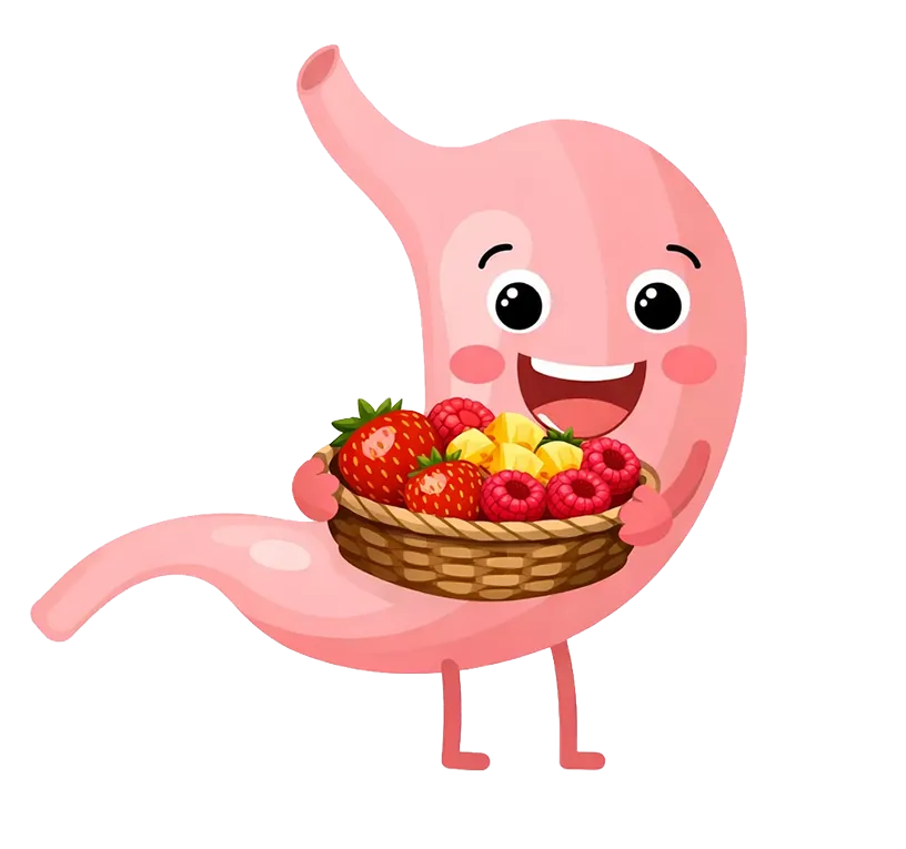 A happy stomach with a basket of fruit